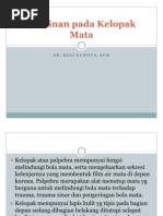 Download Kelainan Pada Kelopak Mata by Iwan Sanusi SN81687271 doc pdf