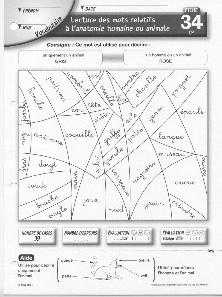 Coloriage Magique LECTURE CP 34 Anatomie | PDF