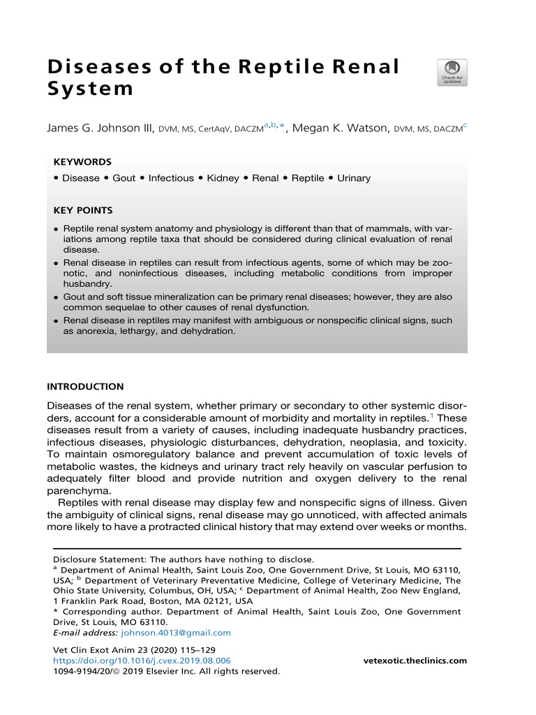 View of Diseases of The Reptile Renal System - Vap | PDF | Kidney | Medical ...