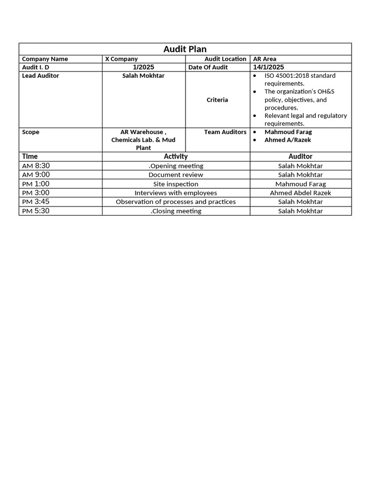 Audit Plan | PDF