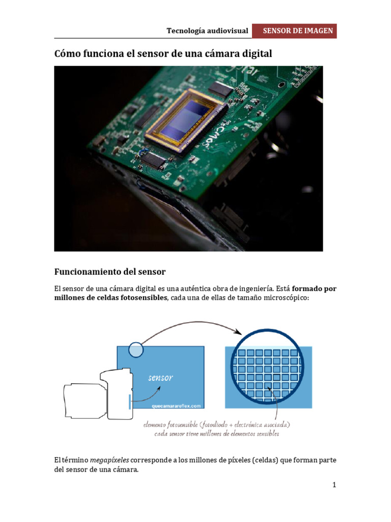 13- El Sensor de La Camara Digital | PDF | Píxel | Óptica