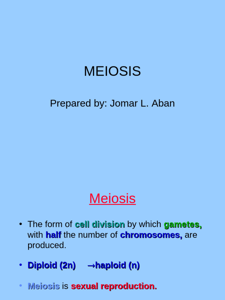 Understanding Meiosis and Gamete Formation | PDF | Meiosis | Mitosis