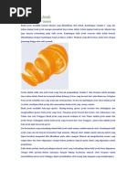 Download Manfaat Kulit Jeruk by Dena Natalia SN81690288 doc pdf