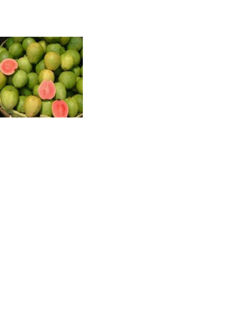 Guava 2 | PDF