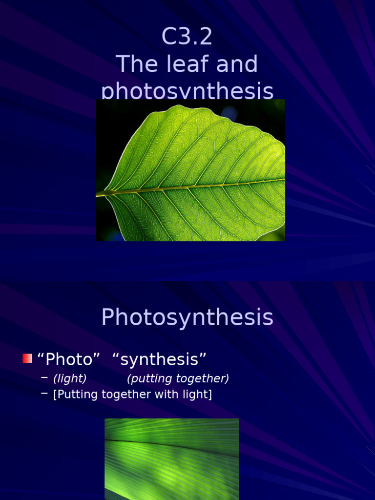 Photosynthesis and Leaf Gas Exchange | PDF | Stoma | Photosynthesis
