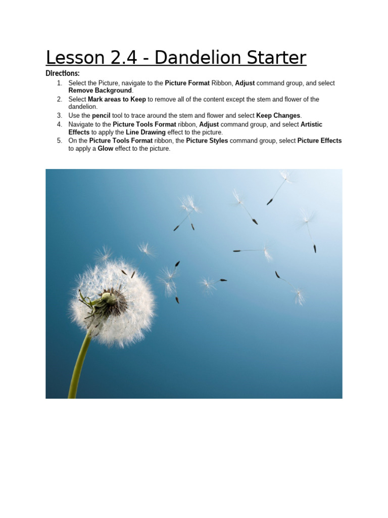 Lesson+2.4+ +Picture+and+SmartArt+Practice+Part+1+&+2 (1) | PDF ...