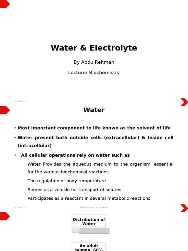 Water and Electrolyte Balance Overview | PDF | Angiotensin | Dehydration