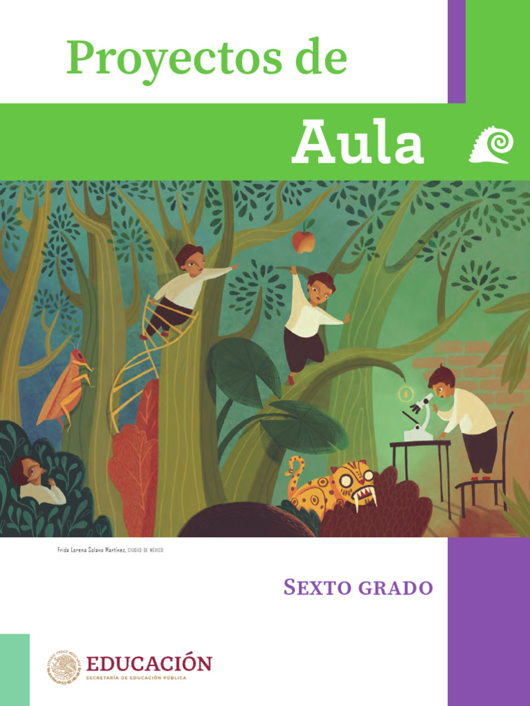 6° - Proyectos de Aula | PDF