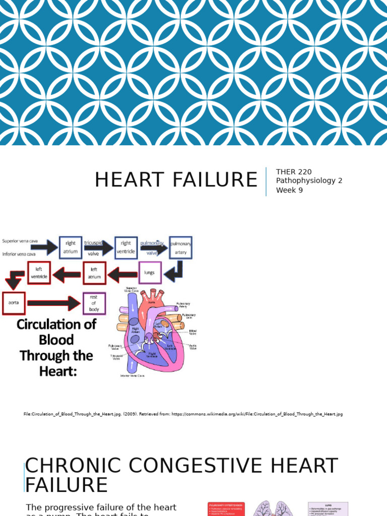 Heart Failure | PDF | Heart | Heart Failure