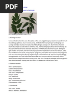 Download Khasiat Dan Kegunaan Daun Mimba by Adnan Kharisma SN81699887 doc pdf