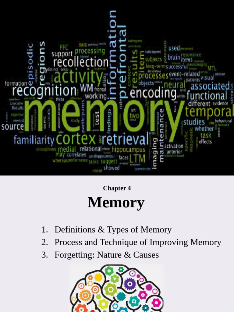 Types and Processes of Memory | PDF | Memory | Long Term Memory
