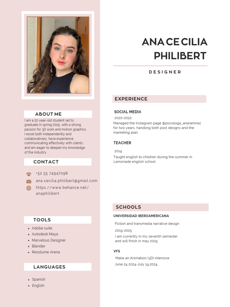CV English | PDF