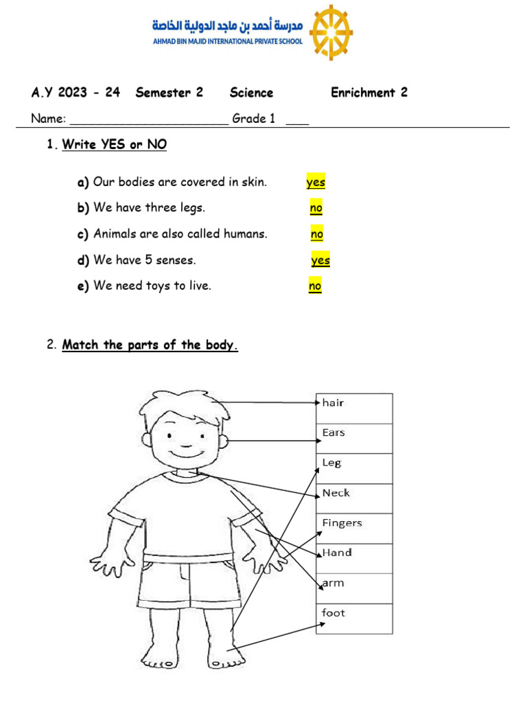 Short Test 2 Enrichment Paper For Grade 1 ANSWERS | PDF | Neuroscience ...