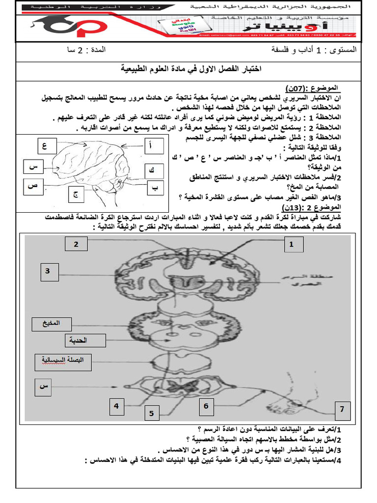 Dzexams 1as Sciences 1126676 | PDF