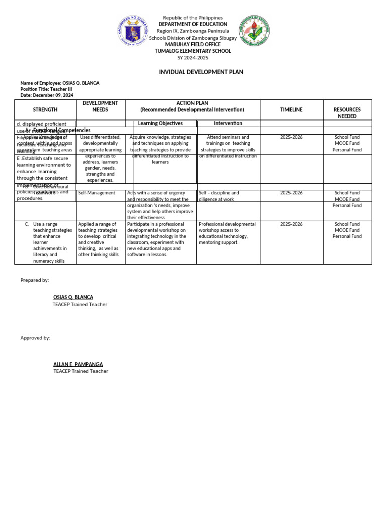Invidual Development Plan | PDF | Differentiated Instruction | Teachers