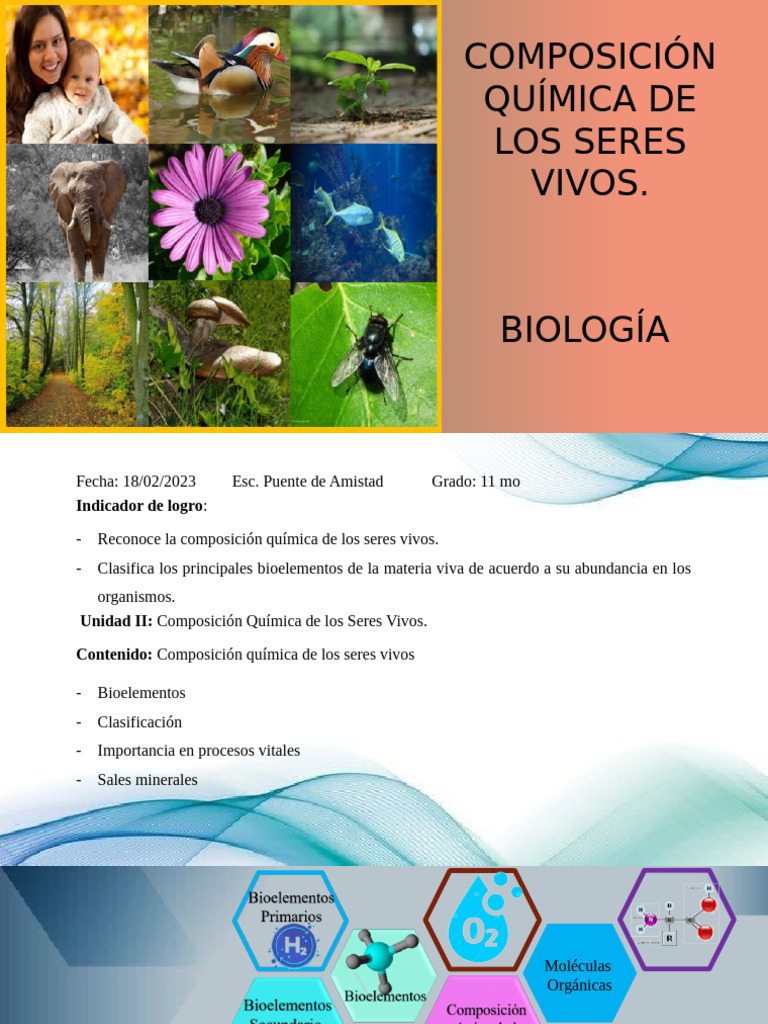 Composición Química de Los Seres Vivos | PDF | Organismos | Compuestos ...