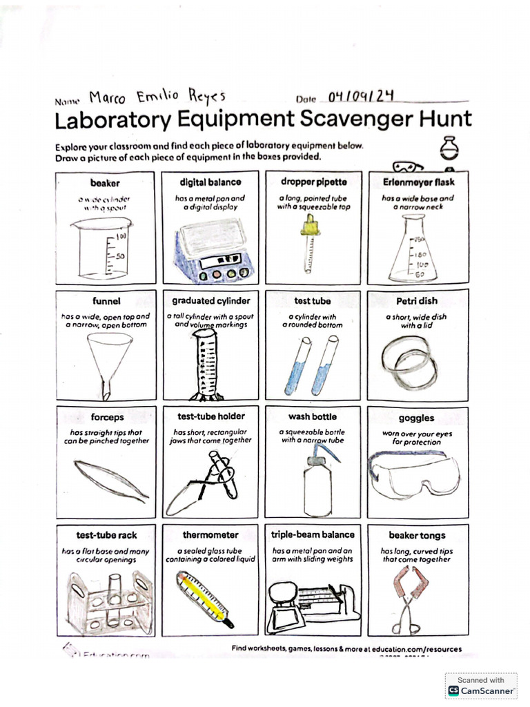 Science Lab Cw Pdf