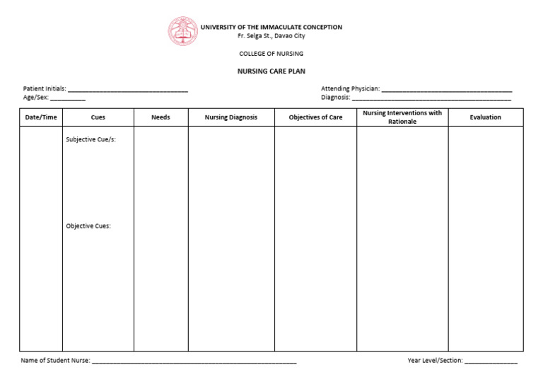 Nursing Care Plan Template | PDF