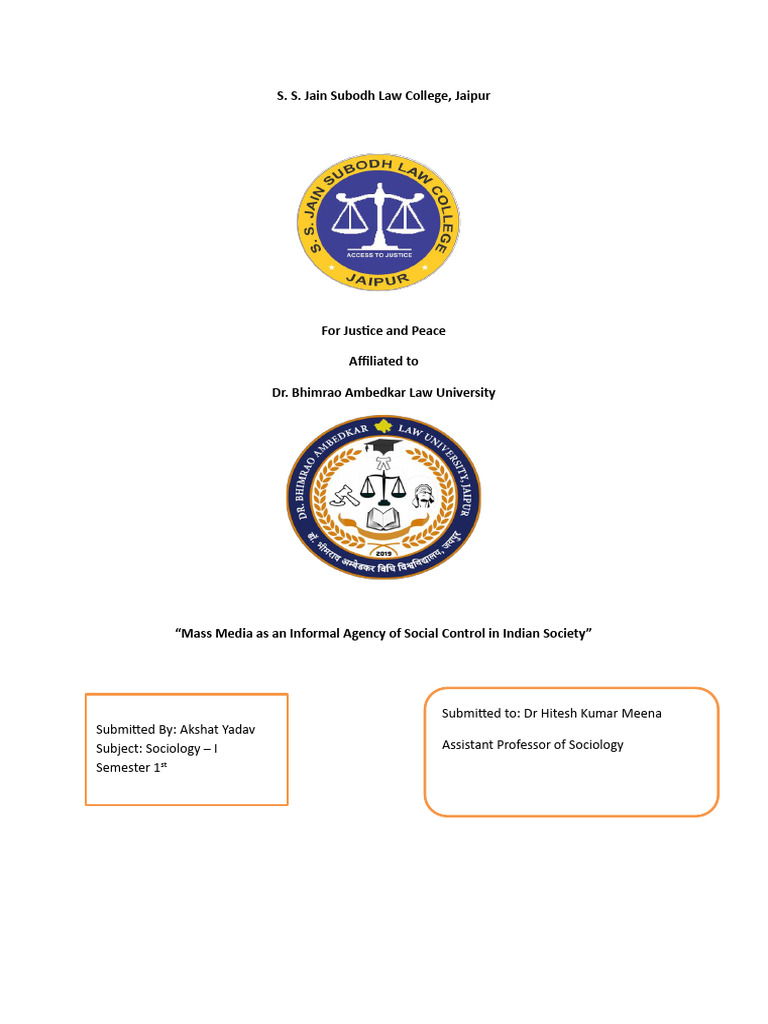 Sociology Project Pdf Institution Society