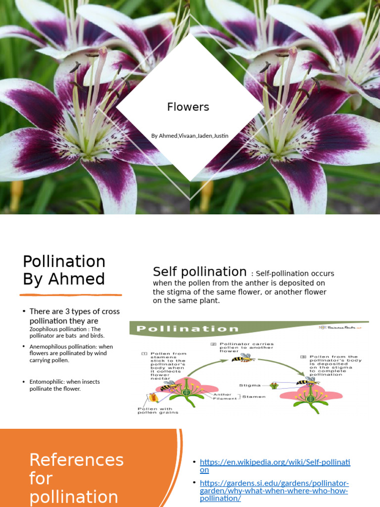 Types of Flower Pollination Explained | PDF