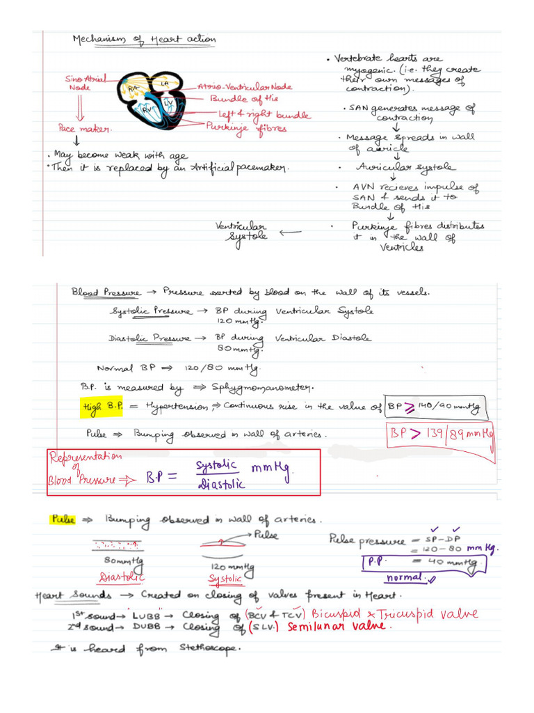 Circulation Lecture 2 Excretion Pdf