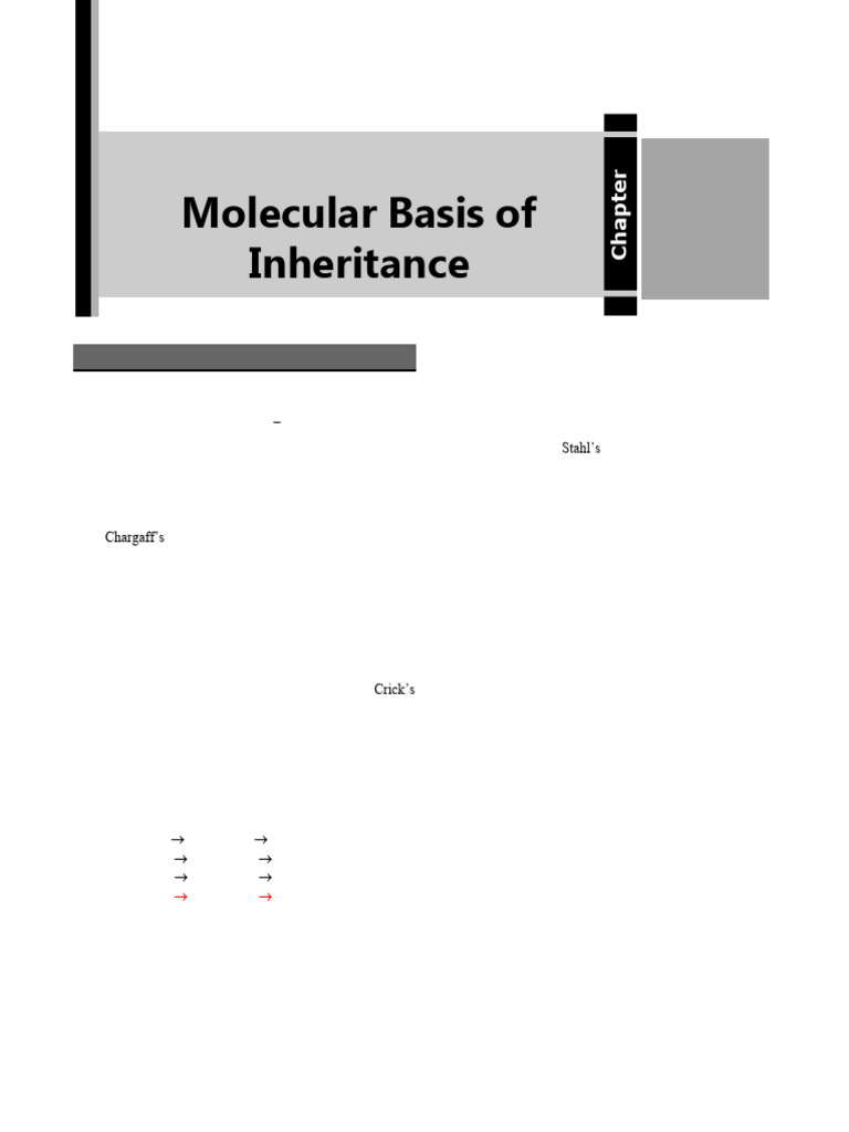 GENETICS REVIEW ANSWER KEY PDF visual data 8
