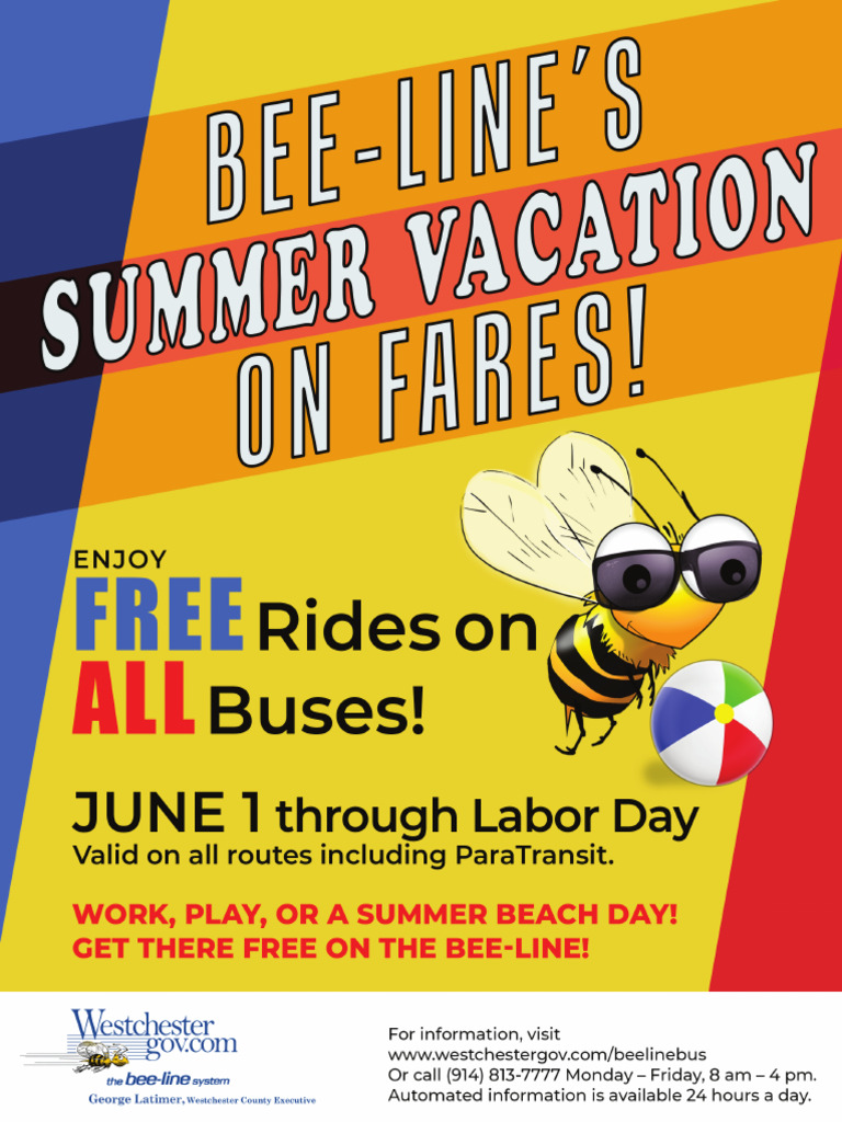 Summer Beeline | PDF