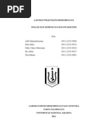 Download Isolasi Dan Morfologi Koloni Bakteri by auroradanista SN81713066 doc pdf