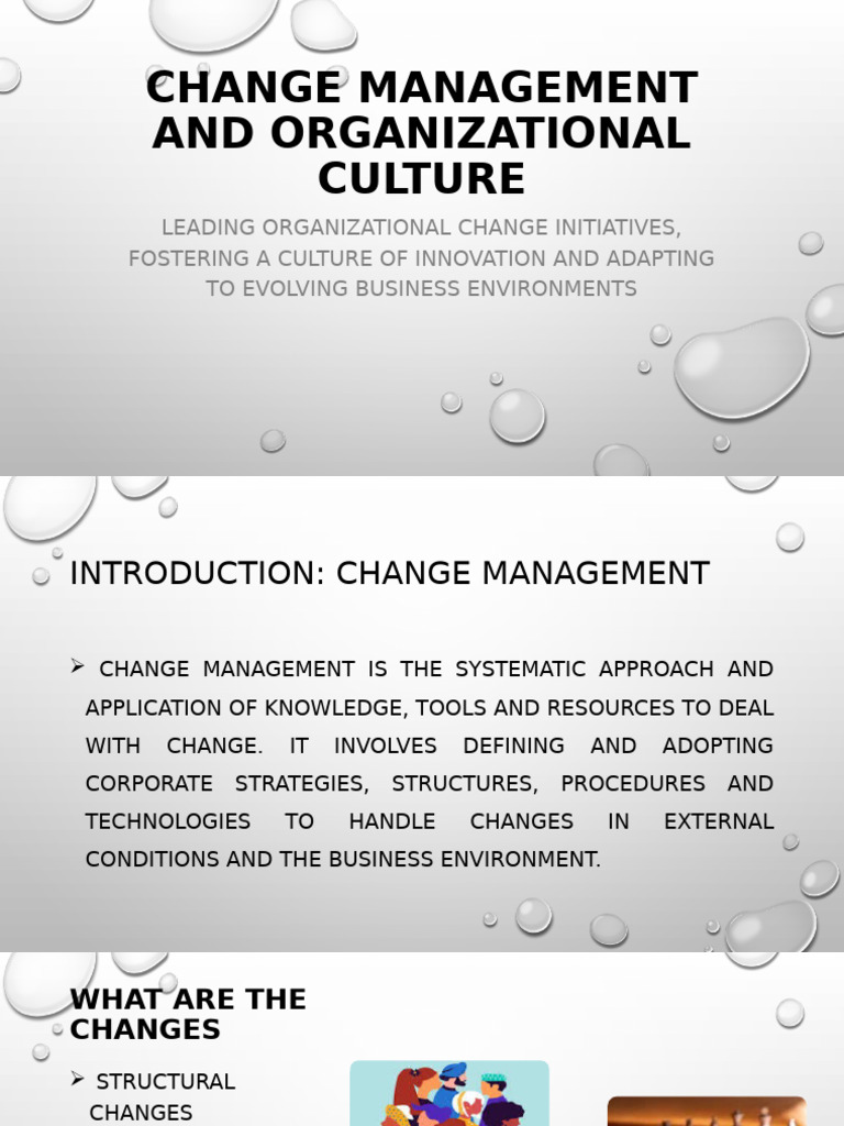 Change Management and Culture Dynamics | PDF