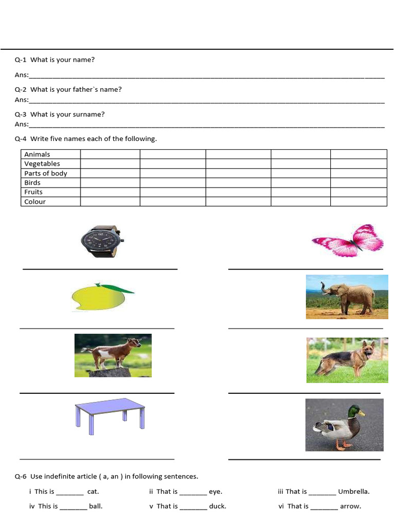 English Language Practice Worksheet | PDF