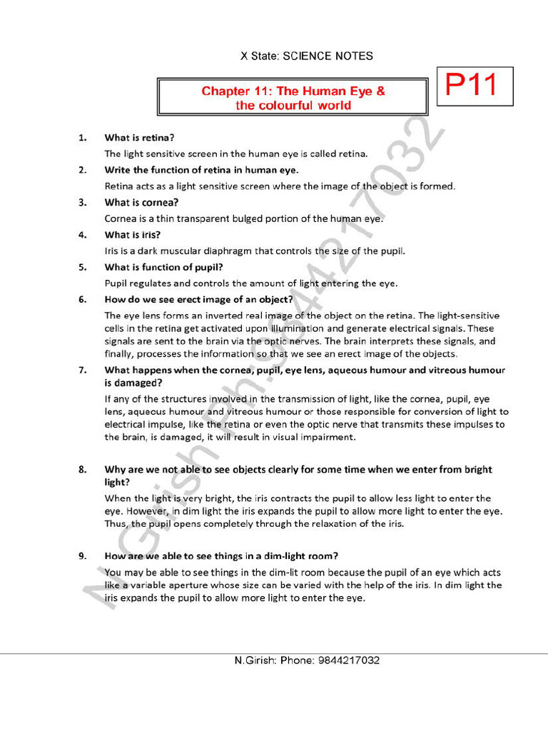 10 Science CHP 11 Human Eye Notes STF | PDF