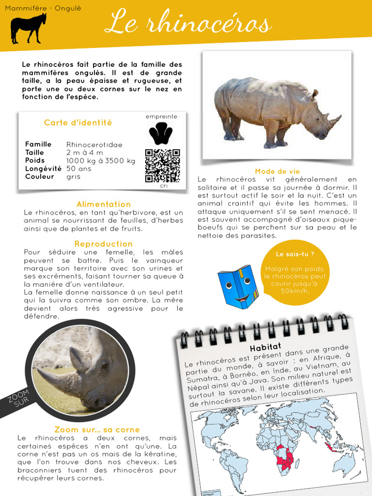 Le Rhinocéros : Caractéristiques et Habitat | PDF | Rhinocéros
