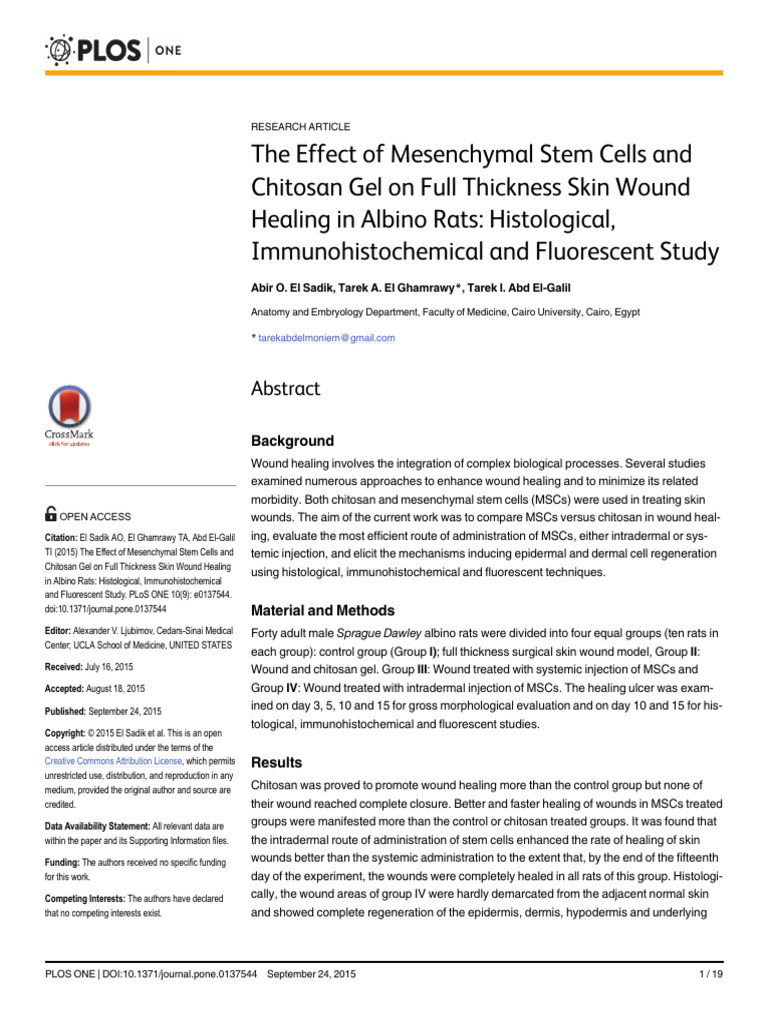 2015, The Effect of Mesenchymal Stem Cells and | PDF | Wound Healing | Skin
