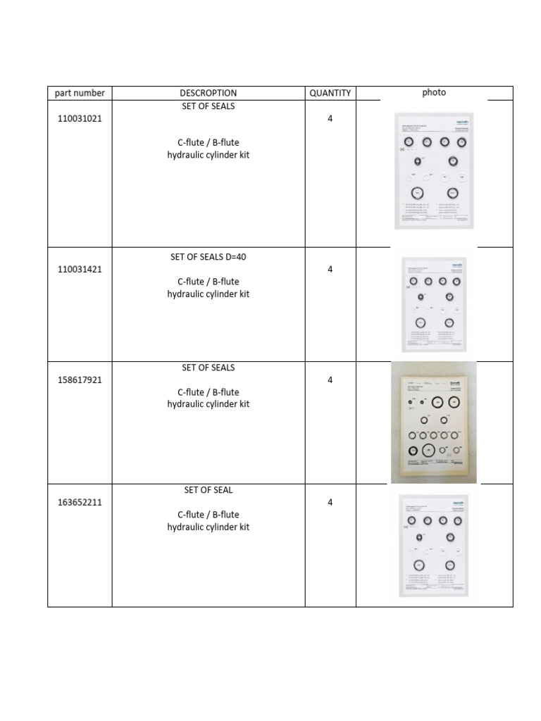 BHS Hydraulic Cylinder Seal Kits | PDF