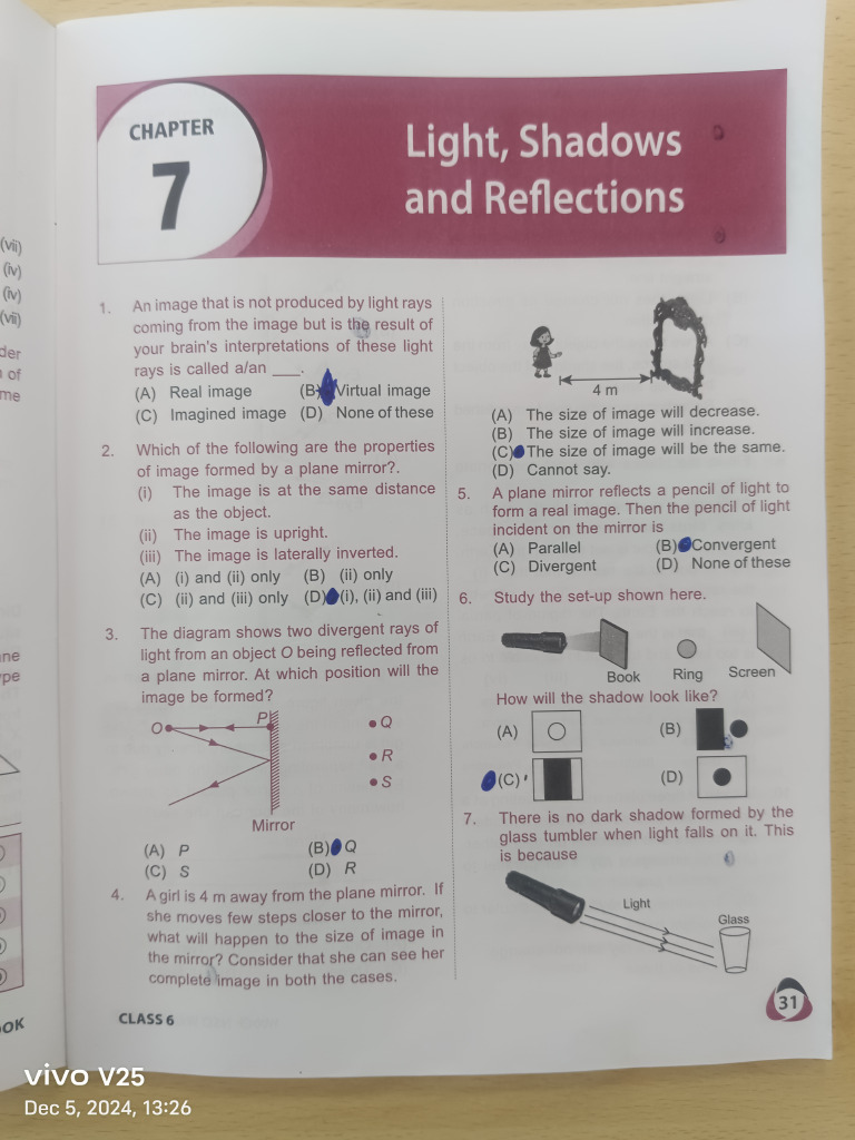 NSO Workbook Light Shadow and Reflection | PDF