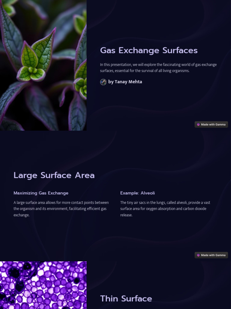 gas-exchange-surfaces-explained-pdf