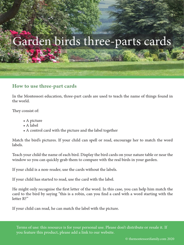 Garden Birds 2 | PDF