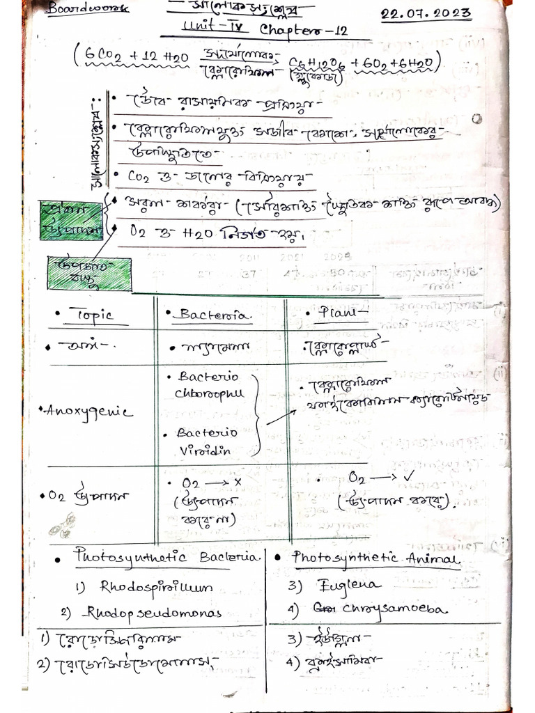 Default Folder - 20240204 | PDF