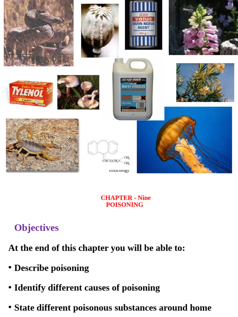 Thiamethoxam Poisoning Overview | PDF | Poison | Drug Overdose