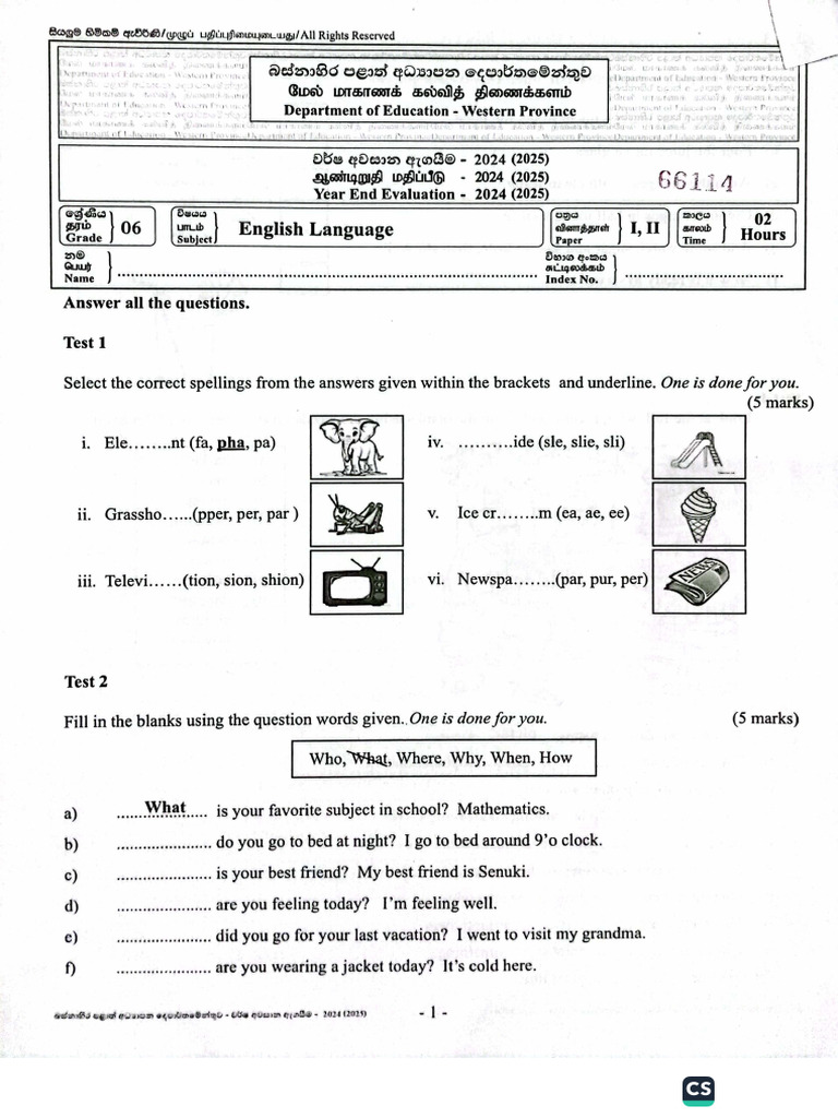 English - Grade 6 - Third Term Test 2024 - Western Province | PDF