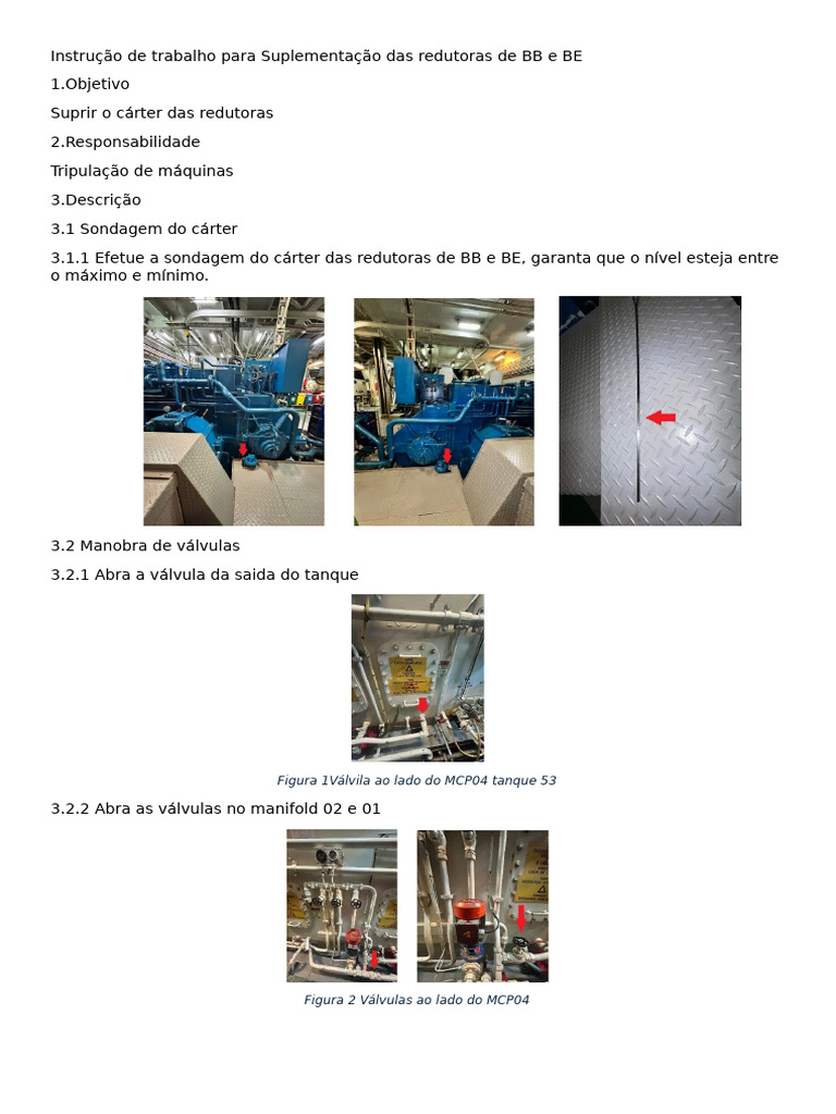 Instrução de trabalho para Suplementação das redutoras | PDF