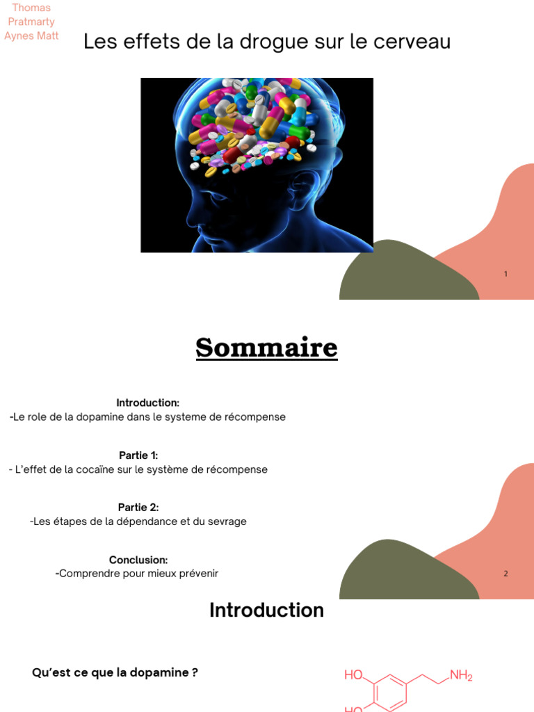 Effets de la drogue sur le cerveau | PDF | Sevrage (toxicologie) | Dopamine