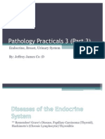 Pathology Practicals 3 (Part 3)