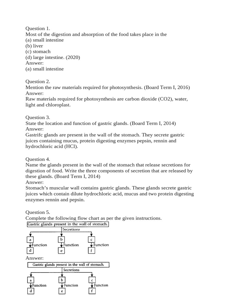 Frequently Asked Questions Life Processes | PDF | Respiratory System ...