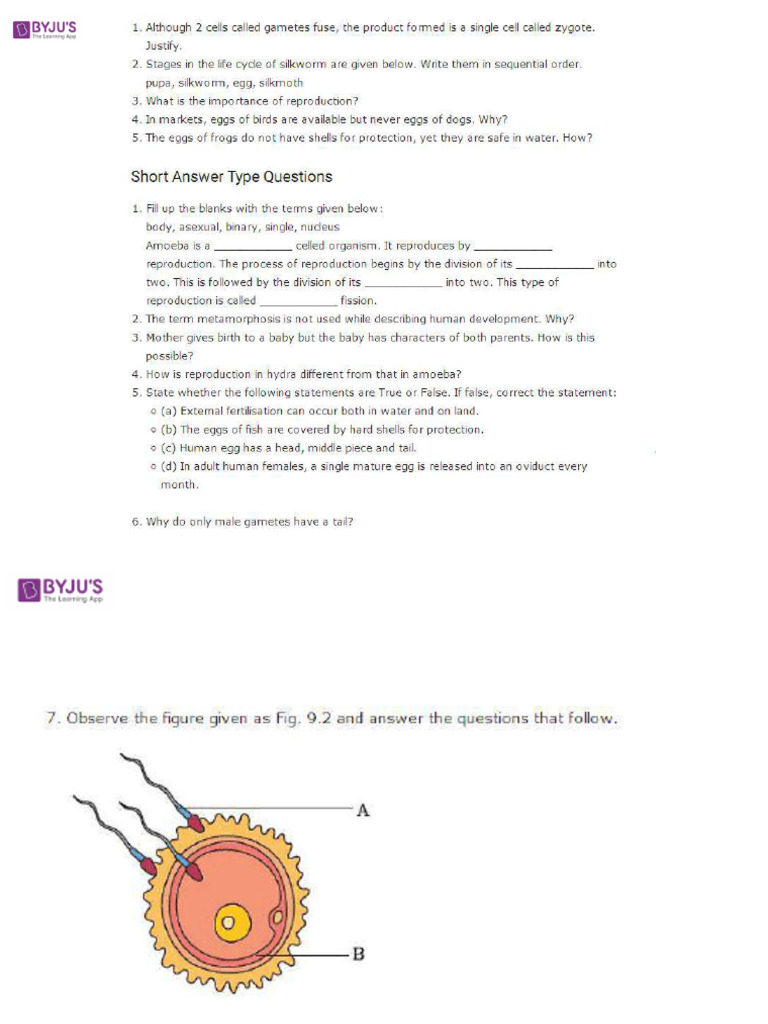 Important Questions For Class 8 Science Chapter 9 Reproduction Animals ...