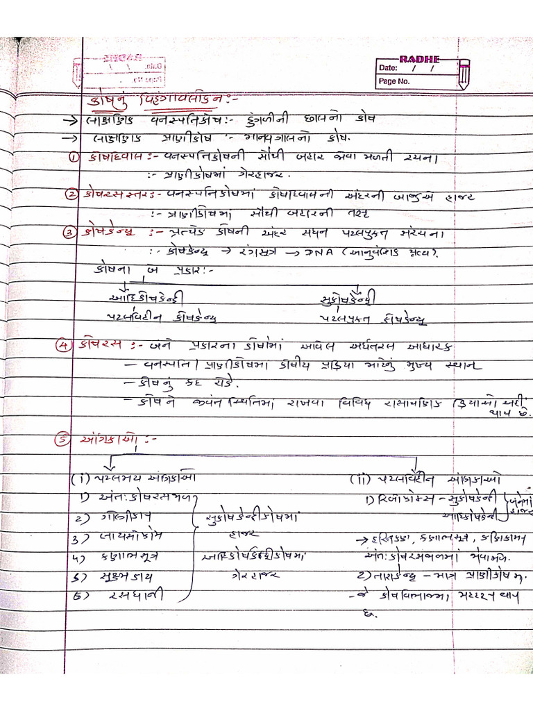 Class 11 - 2 | PDF
