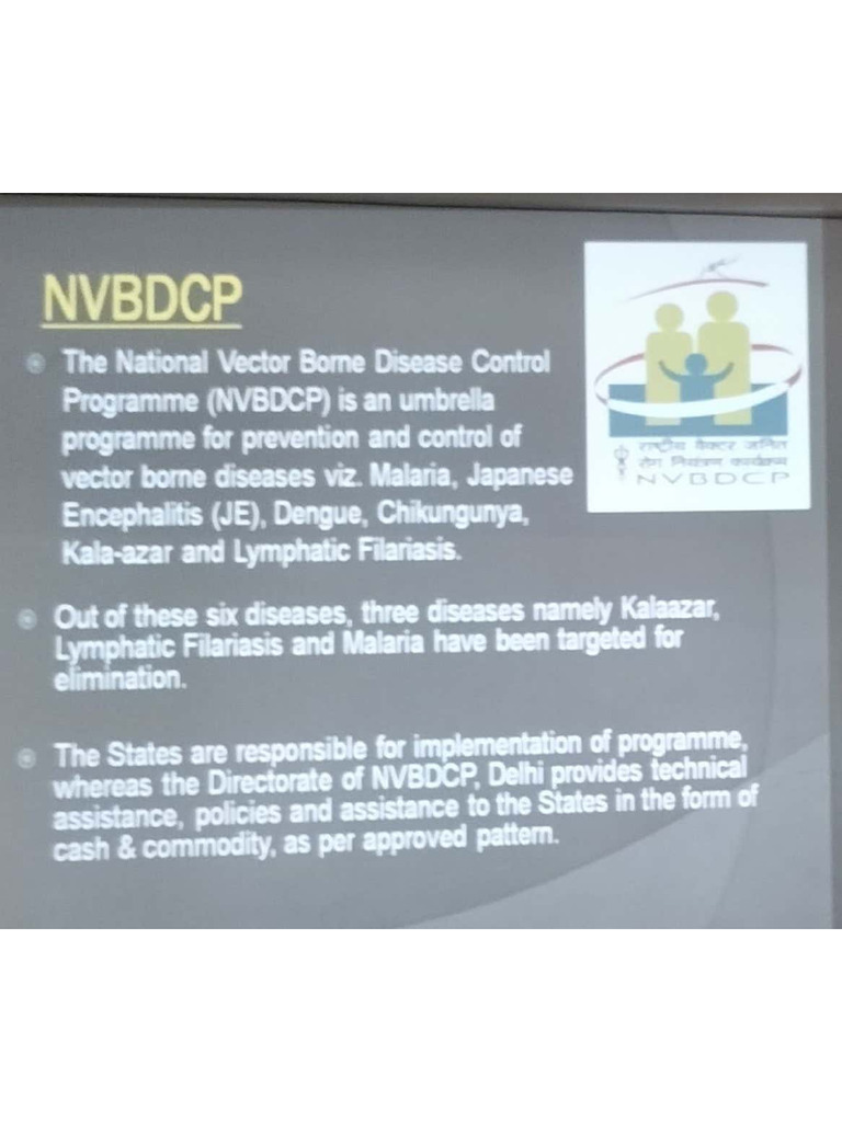 Different Programs (Micro) | PDF