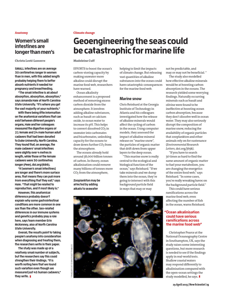 Day 6 Article | PDF | Oceans | Systems Ecology