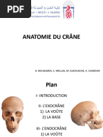 Anatomie et Fractures du Rocher | PDF | Tête et cou chez l'humain ...