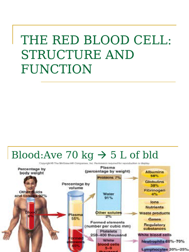 Red Blood Cell Structure and Anemia Insights | PDF | Anemia | Red Blood ...